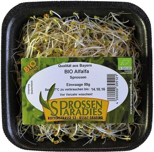 Schale 50g