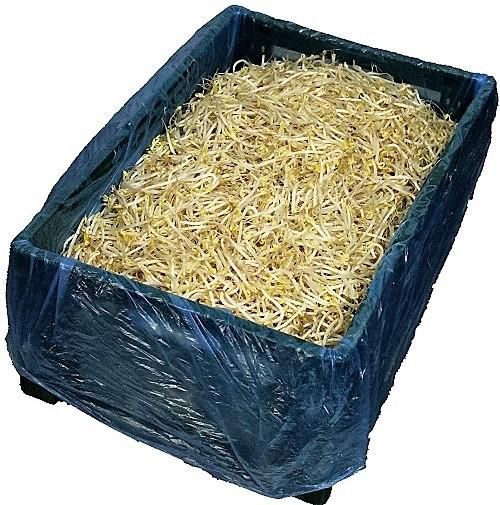 Kiste 10kg