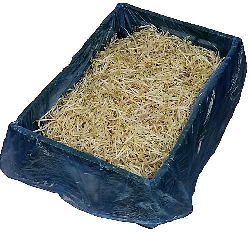 Kiste 5kg